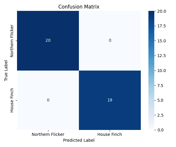Confusion matrix for the binary task, Northern Flicker versus House Finch. Twenty Northern Flicker samples and nineteen House Finch samples are all classified correctly; both off-diagonal cells are zero.